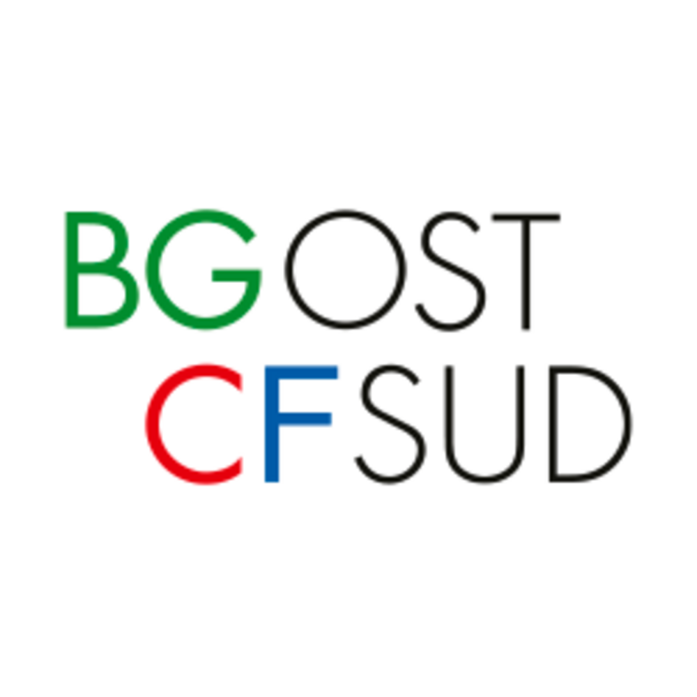 csm_bgost-sued_logo_cmyk_ohne_claim_250px_43752a6f0f.png